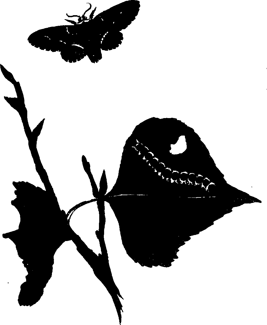 062/062260070900460_0.png