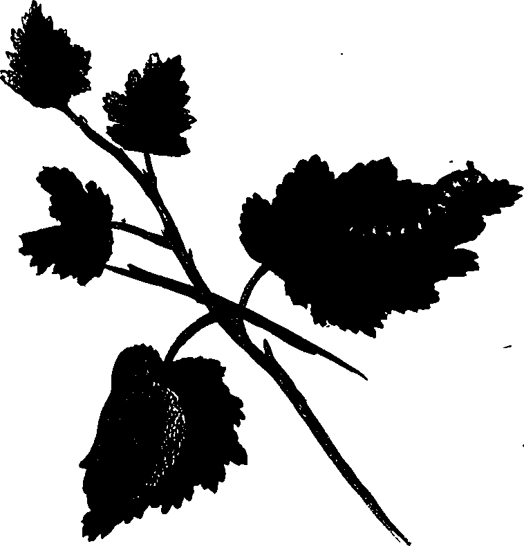 062/062260070900500_0.png
