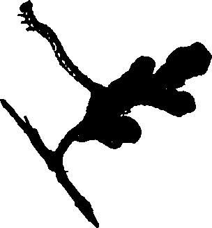 062/062260070900520_0.png