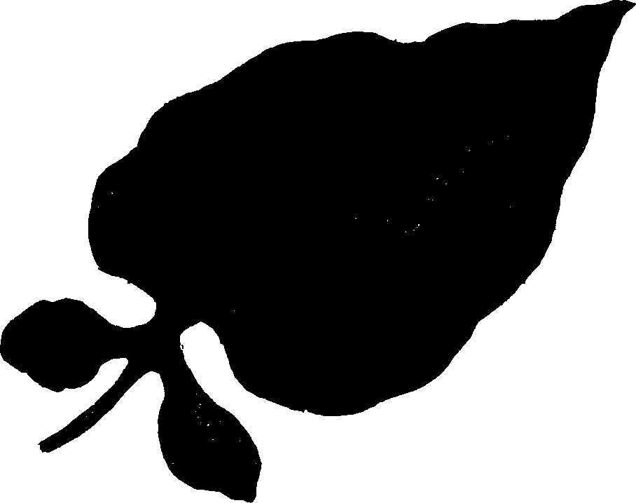 062/062260070900540_0.png