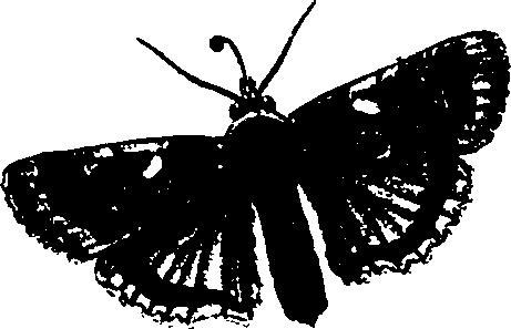 062/062260070900540_1.png