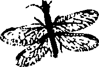 062/062260070900640_0.png