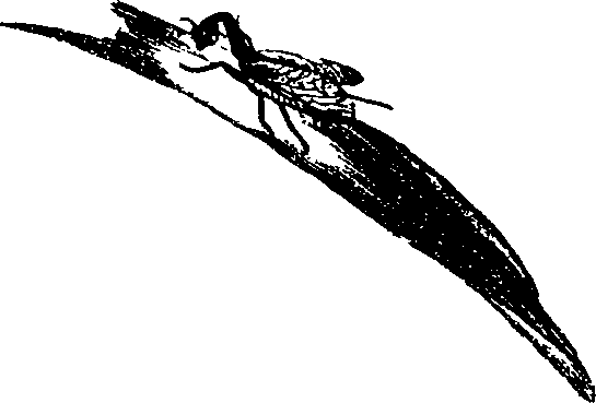 062/062260070900640_1.png