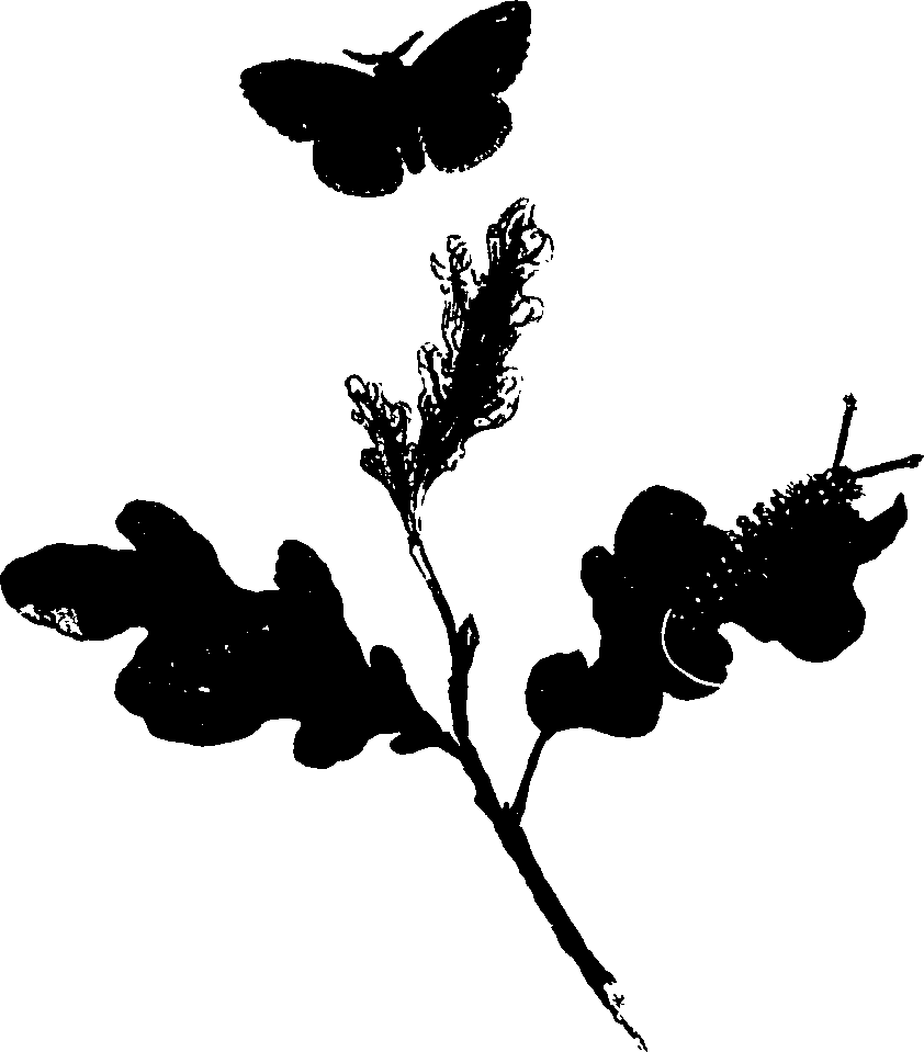 062/062260070900680_0.png