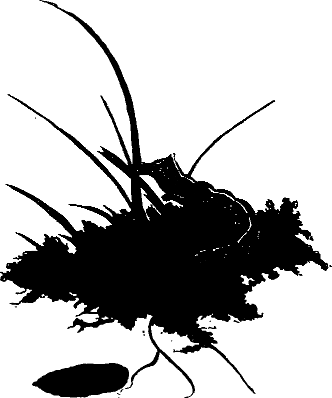 062/062260070900710_0.png