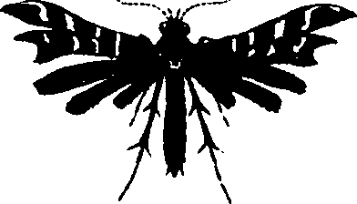 062/062260070900730_1.png