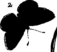 062/062260070900850_0.png