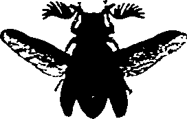 062/062270011000050_0.png