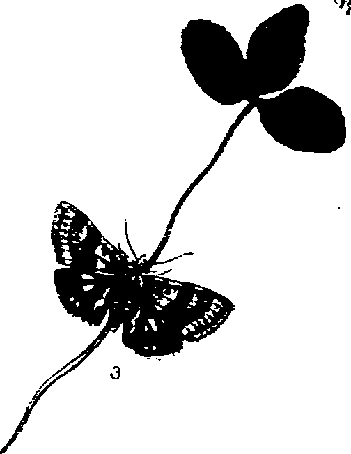 062/062270011000070_0.png