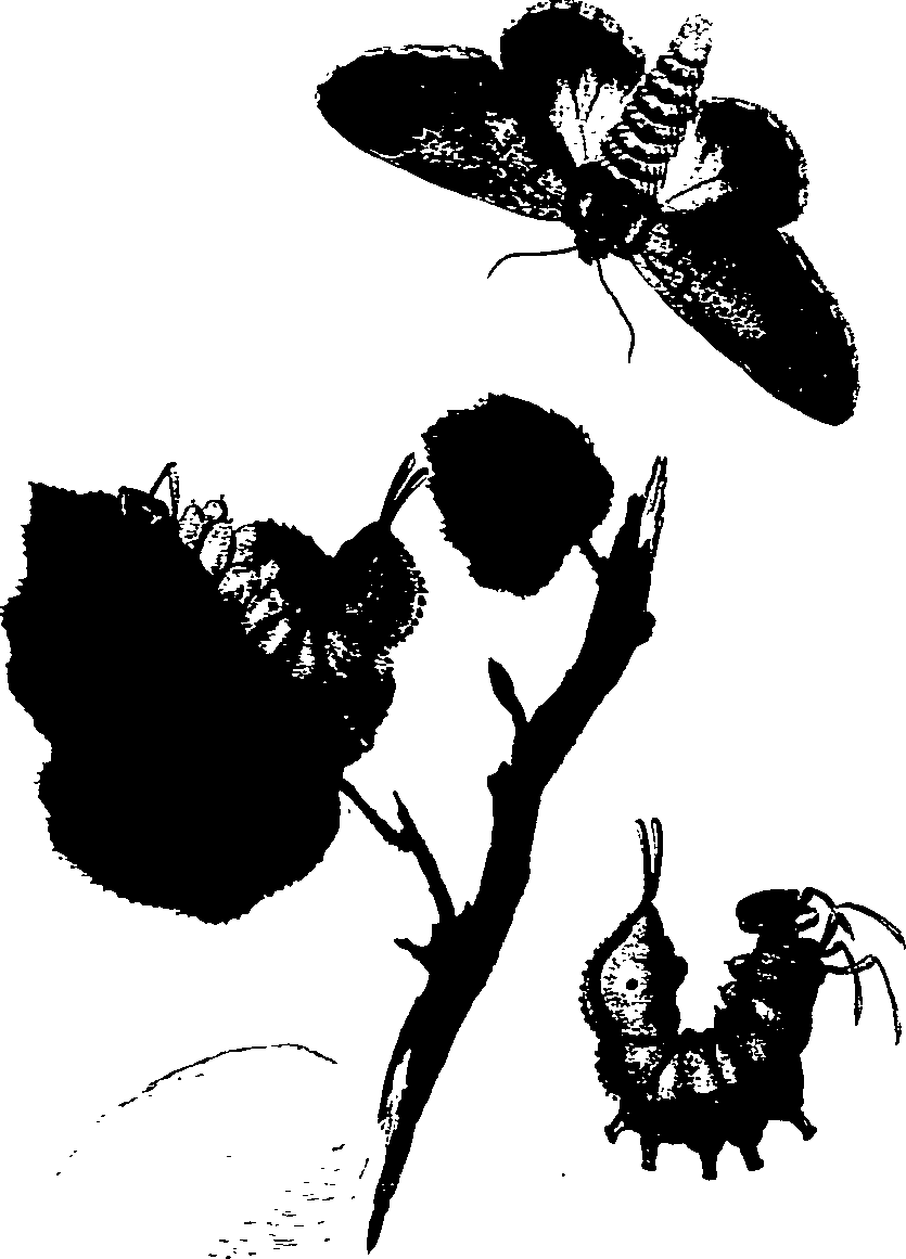 062/062270011000110_1.png