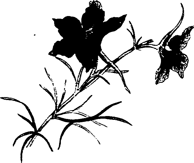 062/062270011000200_1.png
