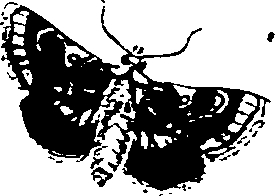 062/062270011000200_2.png