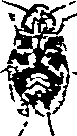 062/062270011000230_0.png