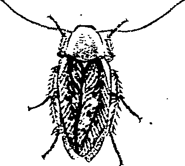 062/062270011000230_1.png