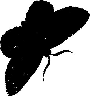 062/062270011000250_0.png