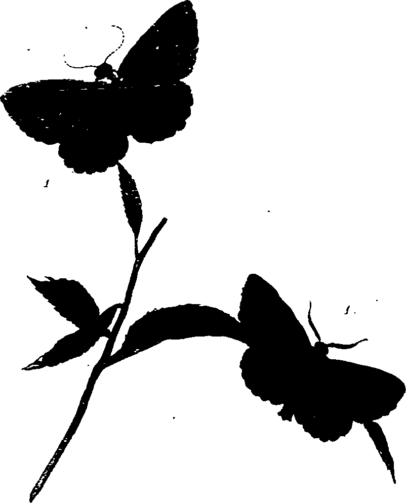 062/062270011000250_1.png