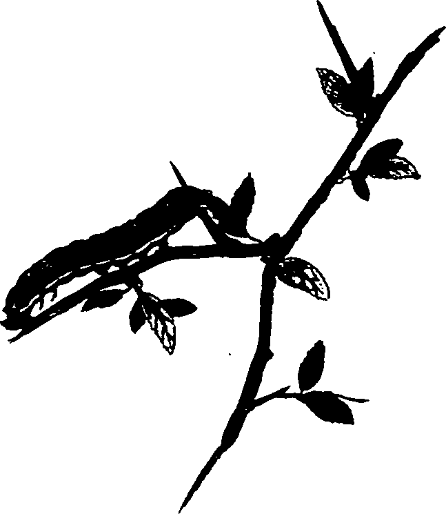 062/062270011000280_0.png