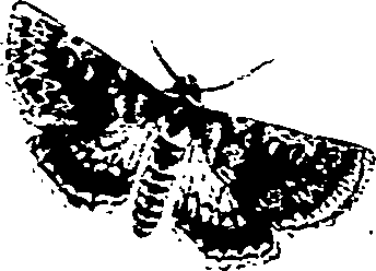 062/062270011000280_1.png