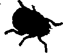 062/062270011000300_0.png