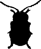 062/062270011000300_1.png