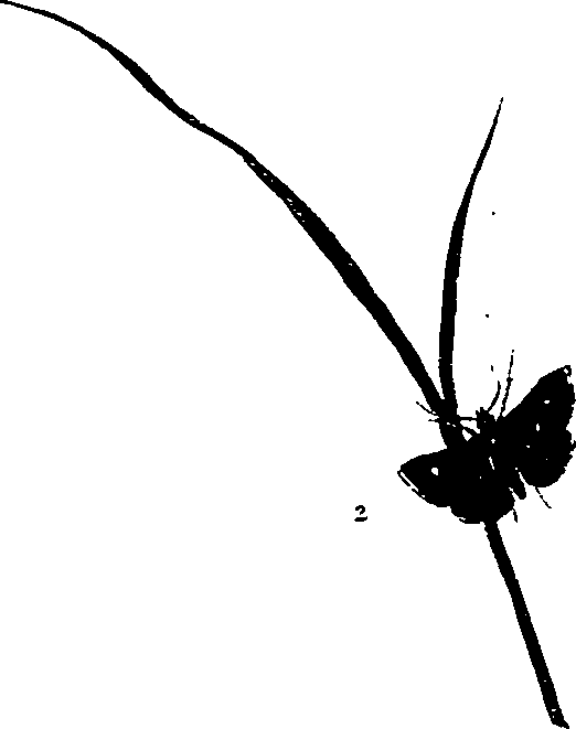 062/062270011000410_0.png