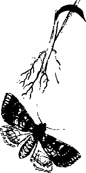 062/062270011000440_0.png
