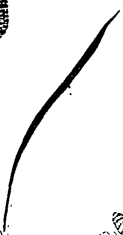 062/062270011000440_1.png