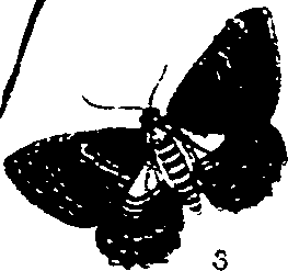 062/062270011000500_0.png