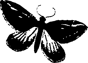062/062270011000500_2.png