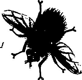 062/062270011000630_0.png