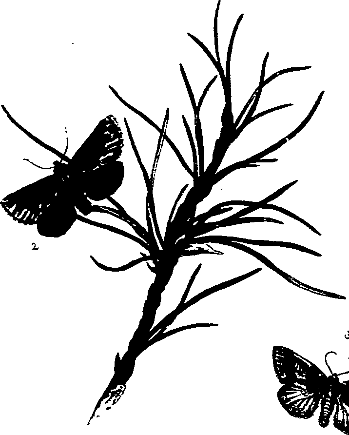 062/062270011000680_0.png