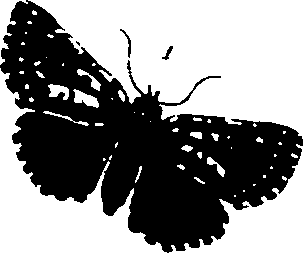 062/062270011000680_1.png