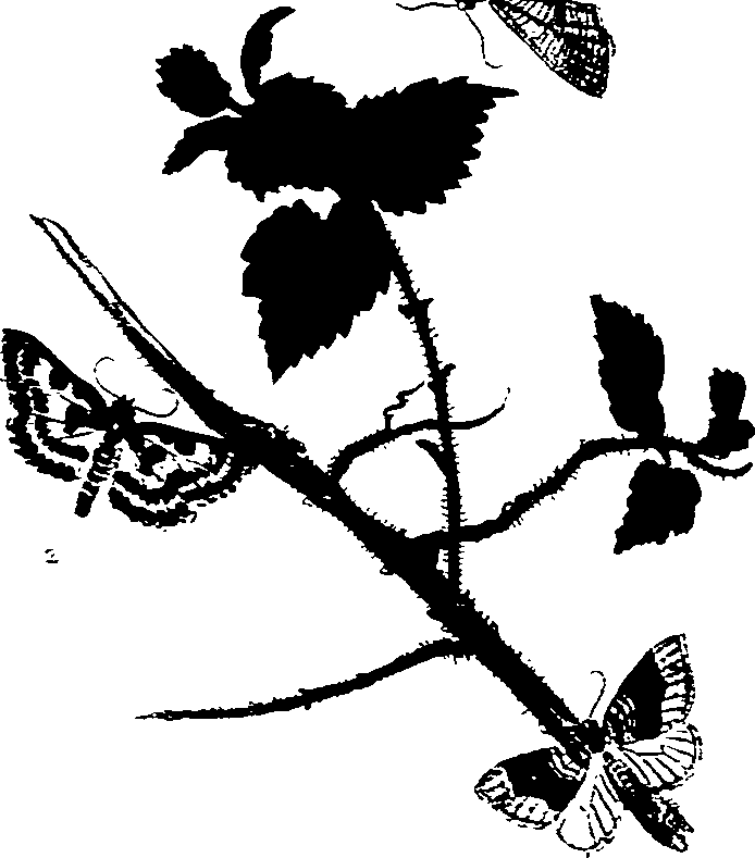 062/062270011000750_0.png