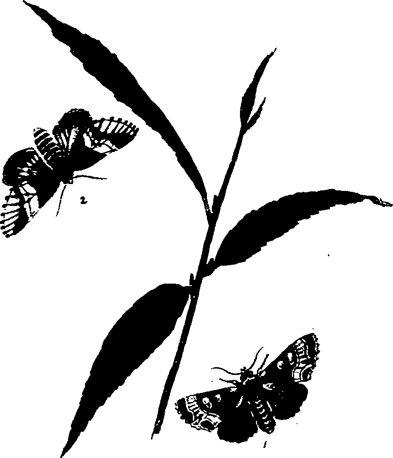 062/062270011000850_0.png