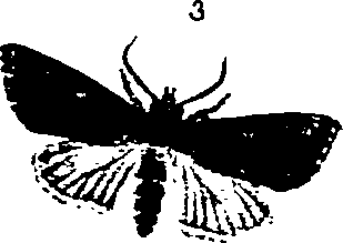 062/062270011000850_1.png