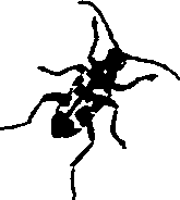 062/062270011000880_0.png