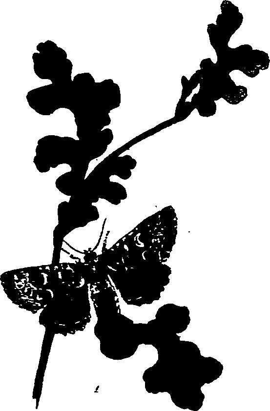 062/062270011000910_0.png