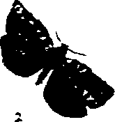 062/062270011000940_0.png