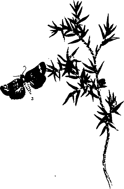 062/062270011001030_0.png