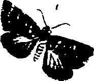 062/062270011001030_1.png