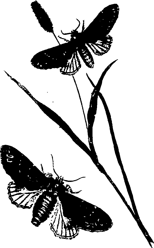 062/062270011001100_0.png