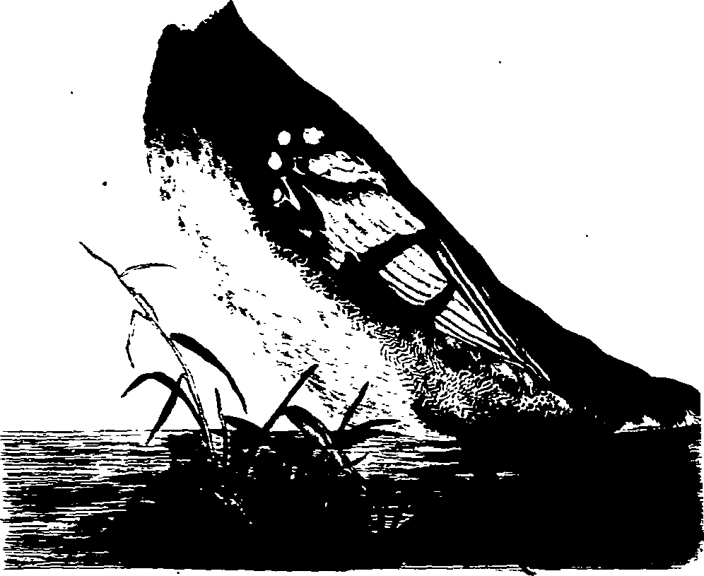 062/062270020200480_0.png