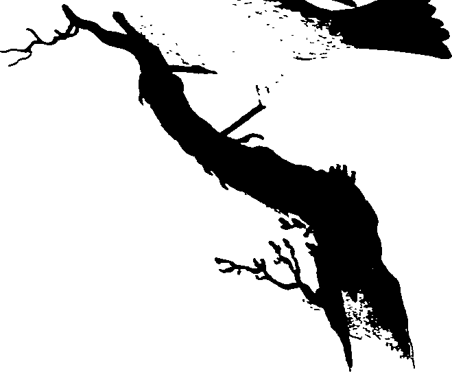 062/062270020300280_0.png