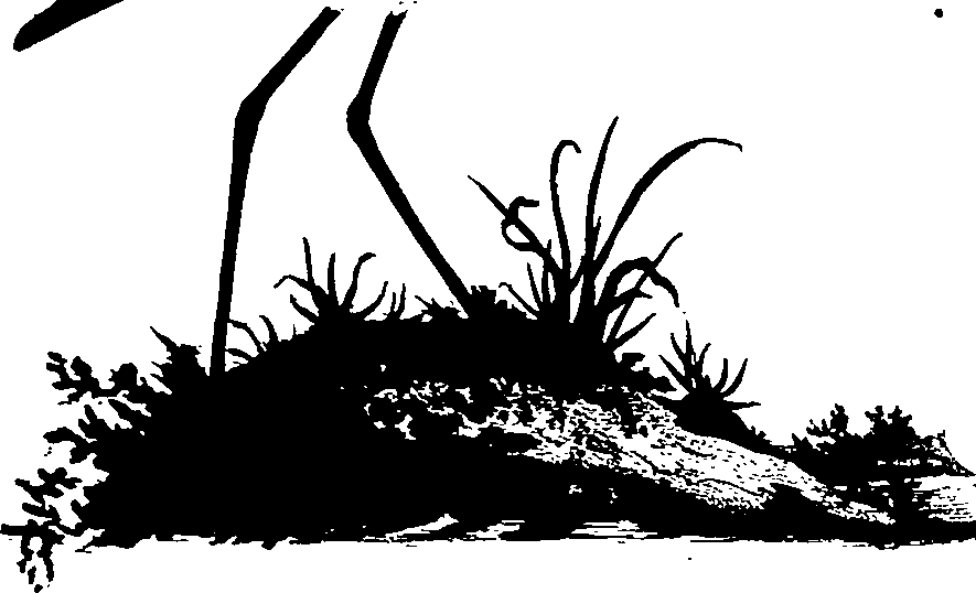 062/062270020300580_0.png