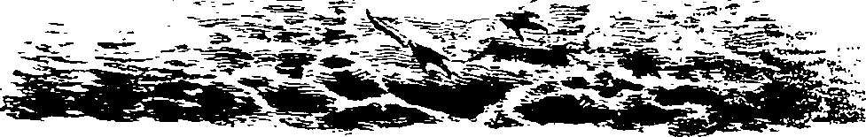 062/062270020400900_0.png