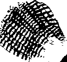 062/062270020500480_0.png