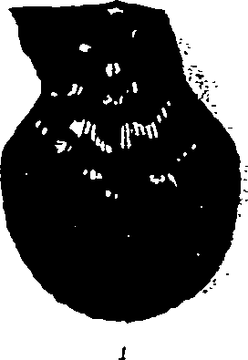 062/062270030100140_0.png