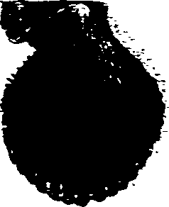 062/062270030100140_1.png
