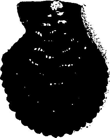 062/062270030100140_2.png
