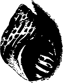 062/062270030100180_0.png